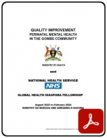 Image of Grome Fellowship report front cover