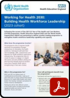 Image of Working for Health 2030 Brochure front page